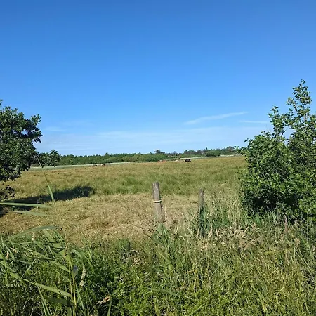 Tranquil Retreat - By Traum Semesterbostad